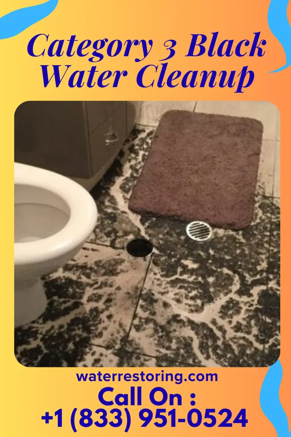 Category 3 Black Water Cleanup in Bel Air North, MD