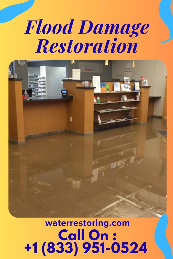 Flood Damage Restoration in Bel Air North, MD