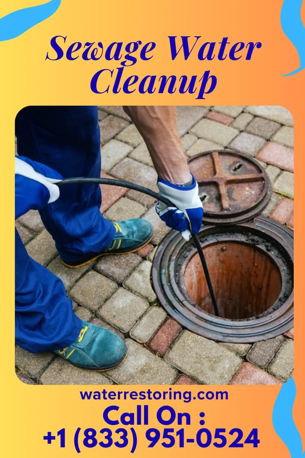 Sewage Water Cleanup in Bel Air North, MD